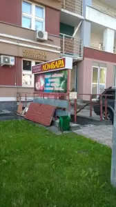 Фотография Золотой Лев 1